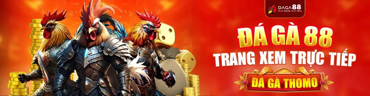 Sân đấu đá gà trực tuyến sôi động tại tt128 login